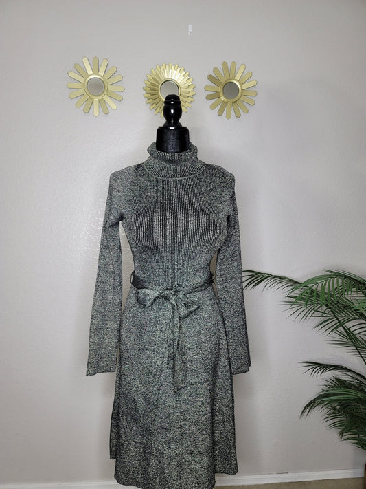 Beautiful Sweater Dress, Alex Marie Turtle neck