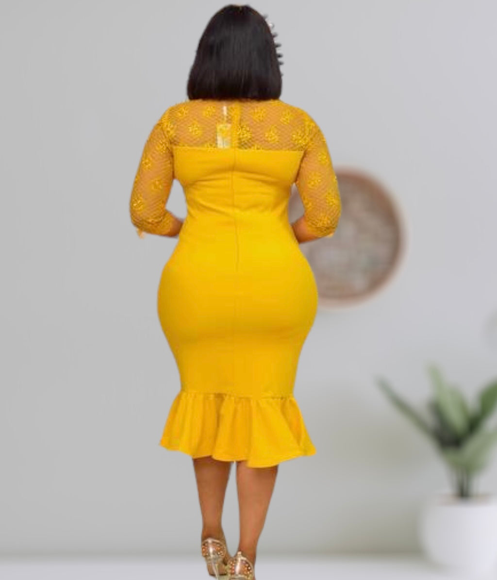 Fit and Flare Embellished Dress