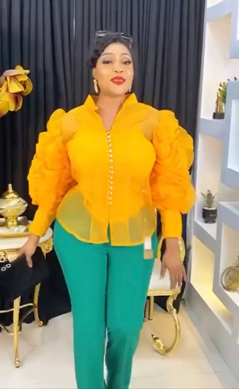 Luxury Puff Sleeve Top