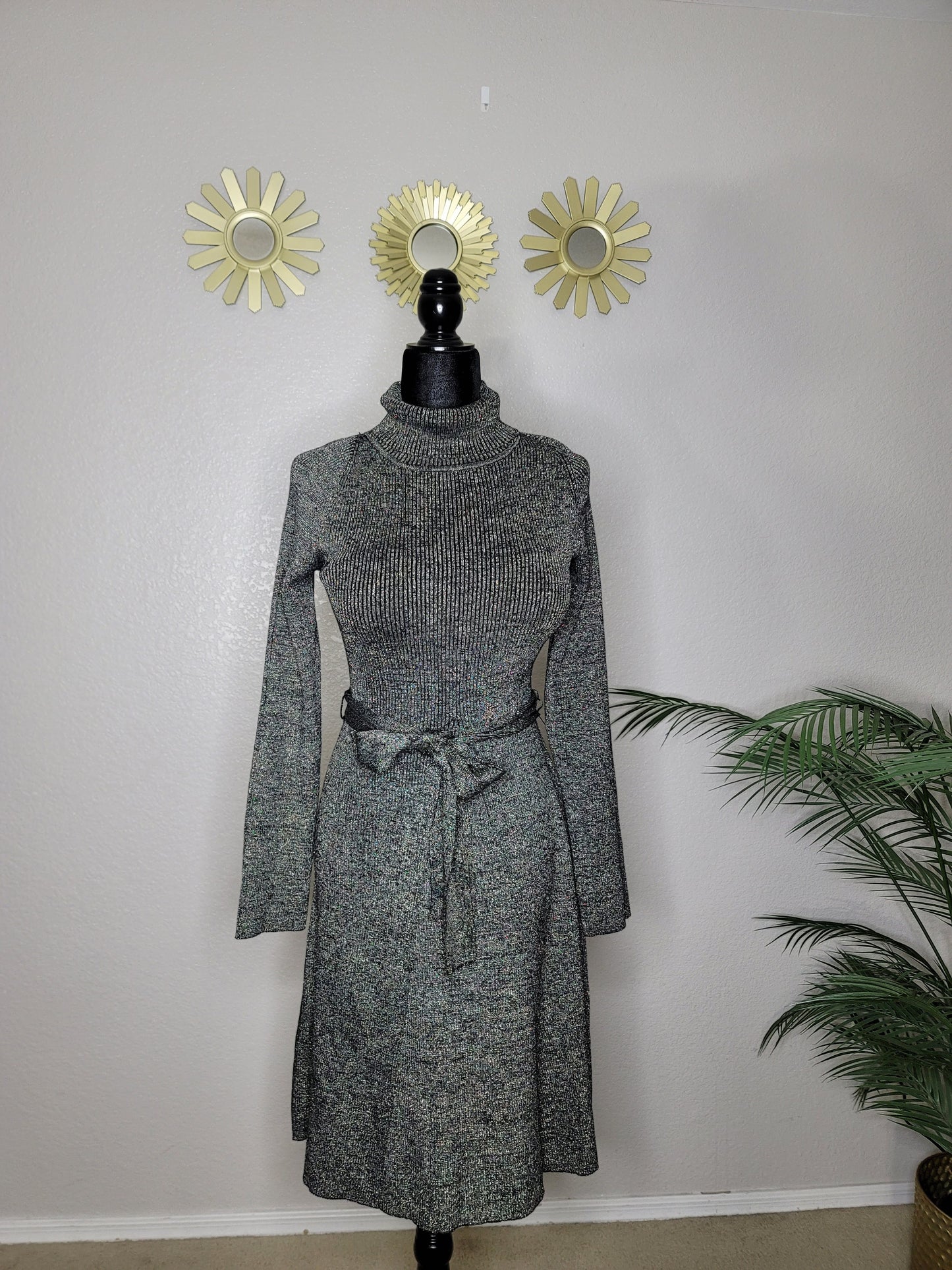 Beautiful Sweater Dress, Alex Marie Turtle neck