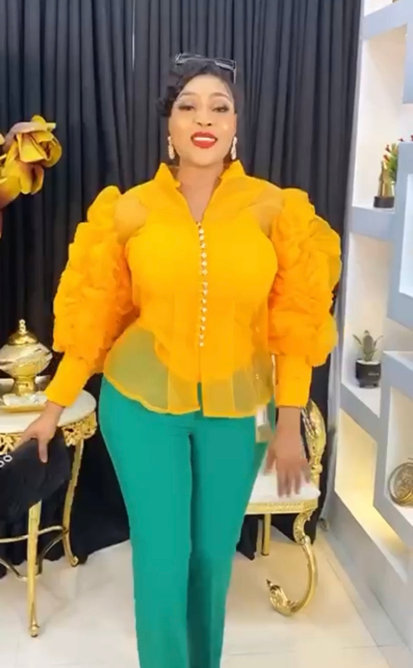 Luxury Puff Sleeve Top